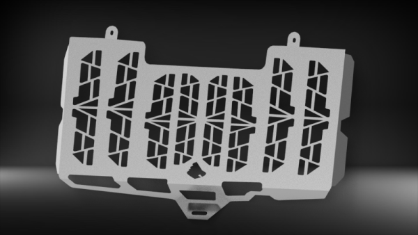 Protector de Radiador - F800gs