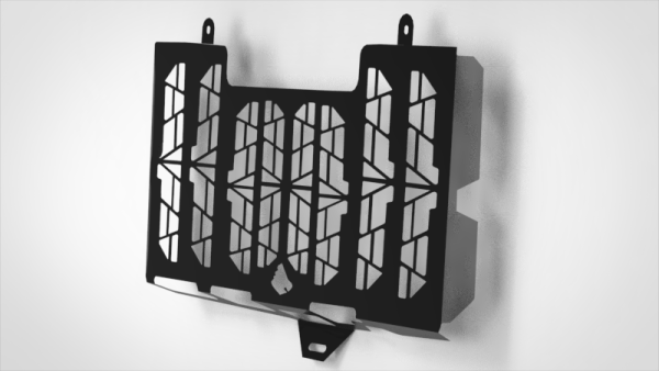 Protector de Radiador - F800gs